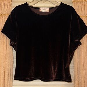 Short Sleeve Brown Velvet Top